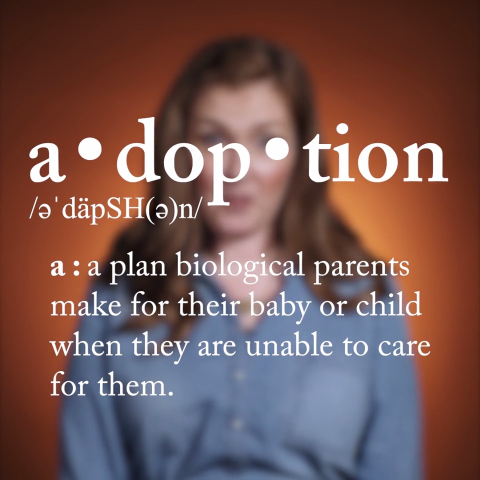 What Is Adoption 